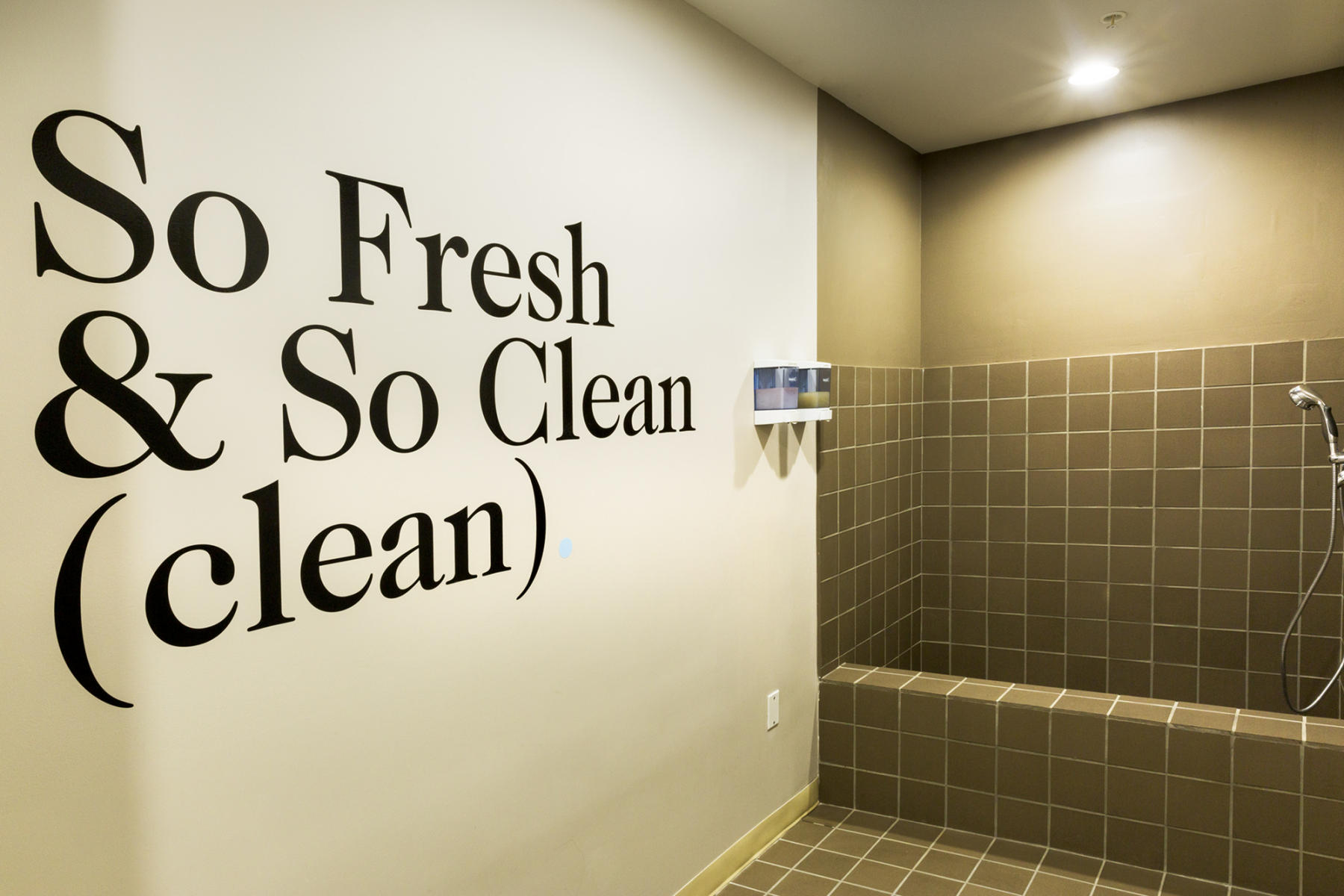 Interior design of the Soho Lofts project - dog wash